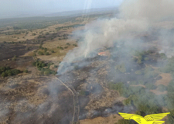 Incendi in Sardegna, 12 nelle ultime ore