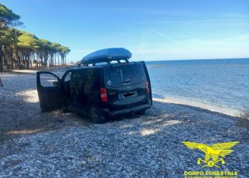 Sanzionato un camperista nella spiaggia dei Confetti a Siniscola