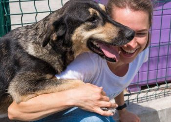 ‘Adotta un cane dal canile Shardana’, un contributo voucher per privati e associazioni che danno una casa agli amici a 4 zampe