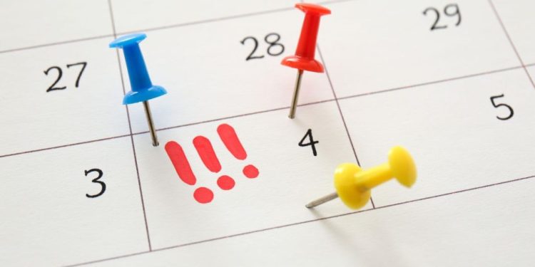 Il 4 ottobre, San Francesco, di nuovo festa nazionale: la proposta di Noi Moderati