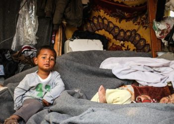 A Gaza niente miele, biscotti e marmellate nei pacchi umanitari: Israele li butta perché troppo energetici