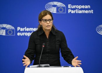 Ilaria Salis: “Voglio essere processata, ma in Italia”