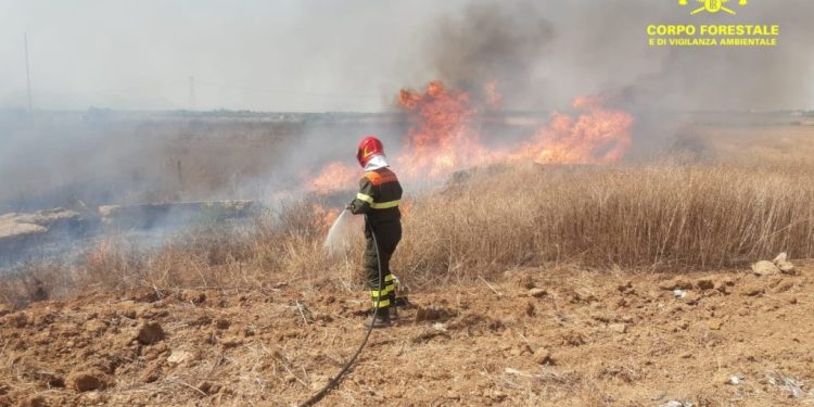 Fiamme in Sardegna, 16 nelle ultime ore