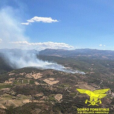 Inferno di fuoco in Sardegna, 25 incendi il 3 settembre