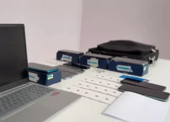 Truffe on line, la Sardegna al 12/o posto nazionale