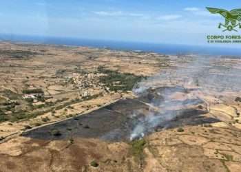 14 incendi in Sardegna nelle ultime ore