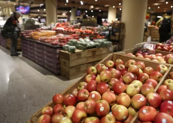 L’inflazione nell’Ocse al 4,1% a luglio, in Italia all’1,7%