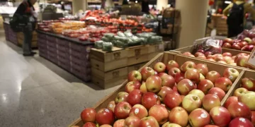 L’inflazione nell’Ocse al 4,1% a luglio, in Italia all’1,7%
