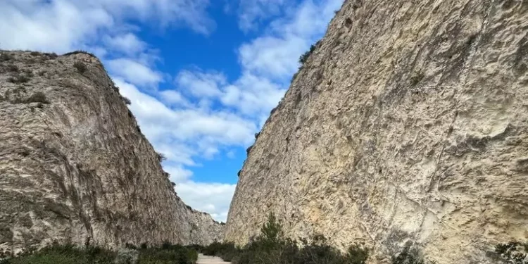 Ragazza morta 30 anni fa, tracce di Dna maschile sui vestiti