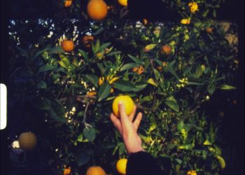 Sabato 18 e domenica 19 ottobre a Cagliari alla Cineteca Sarda,  lunedì 20 ottobre online la terza edizione degli Home Movie Days