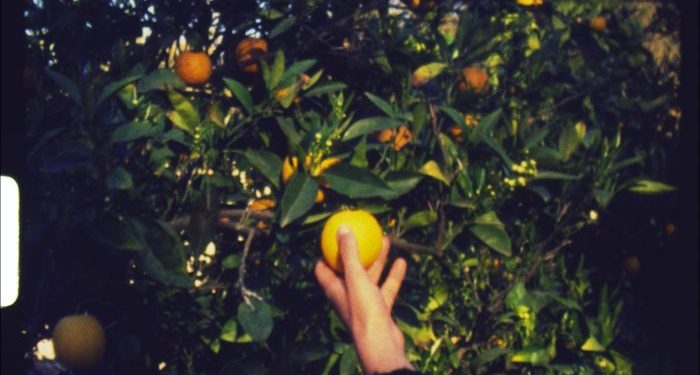 Sabato 18 e domenica 19 ottobre a Cagliari alla Cineteca Sarda,  lunedì 20 ottobre online la terza edizione degli Home Movie Days