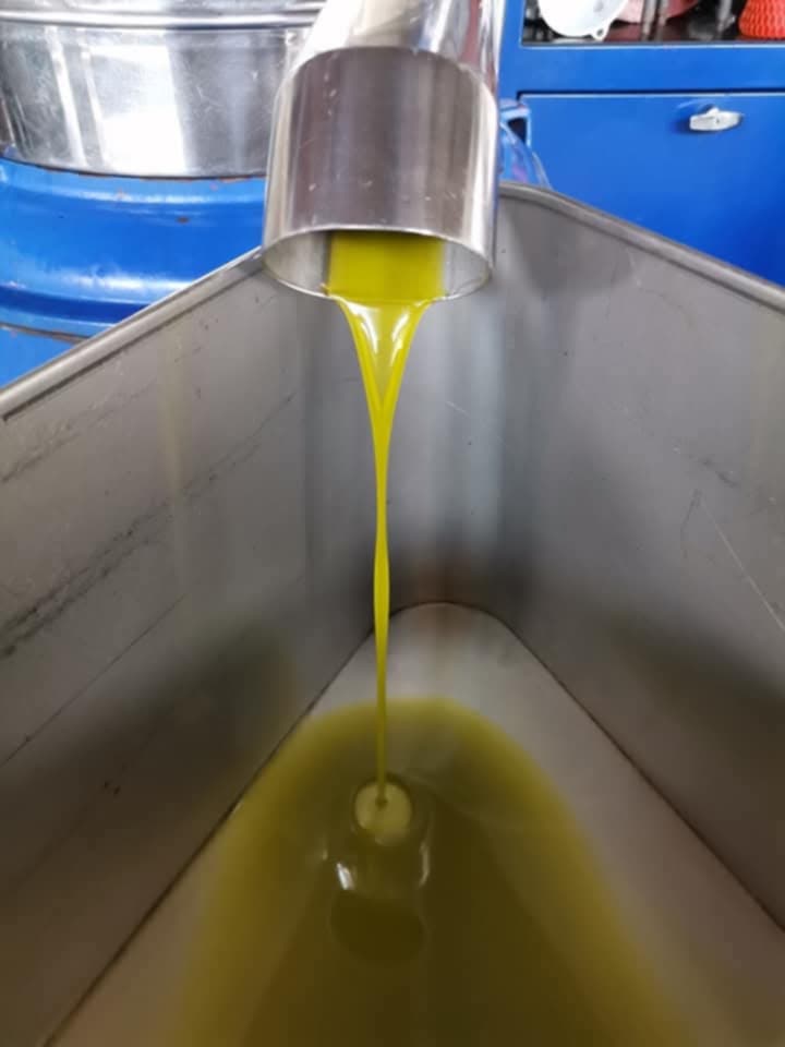 Boom di visitatori all’Oleificio Pelau