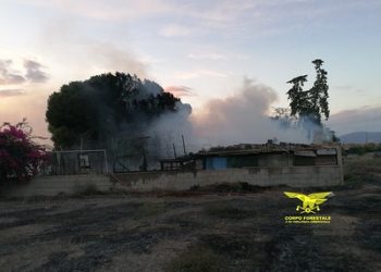 Il Corpo Forestale salva due anziani da un incendio a Quartu