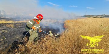 Fiamme in Sardegna, 16 incendi nelle ultime ore