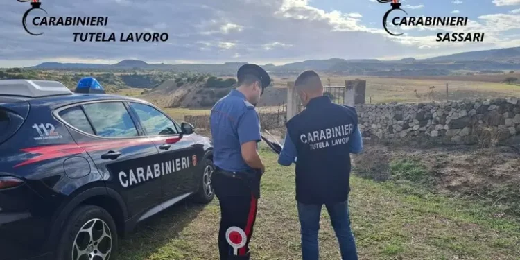 Controlli nelle aziende del Sassarese, irregolare il 44%