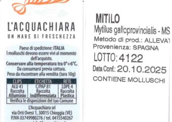 Salmonella ed E. coli oltre i limiti: richiamate cozze dalla Spagna