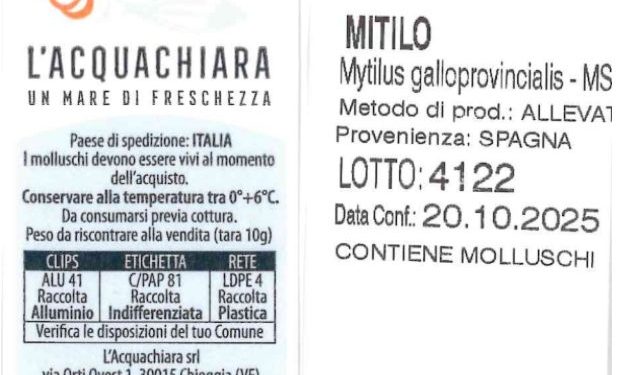Salmonella ed E. coli oltre i limiti: richiamate cozze dalla Spagna