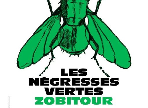 Les Negresses Vertes tornano in Italia nel 2026