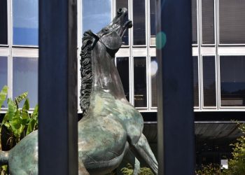 Usigrai: «Il vertice Rai non risponde sui ‘vergogna’ della direttrice dell’ufficio stampa»