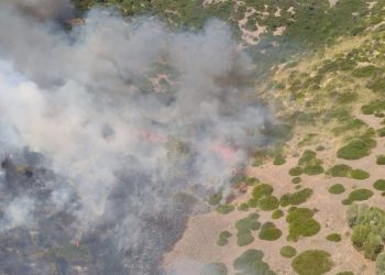22 incendi in Sardegna nella giornata di oggi