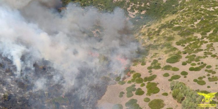 22 incendi in Sardegna nella giornata di oggi