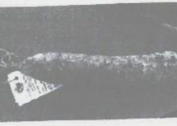 Salame stagionato richiamato per rischio microbiologico