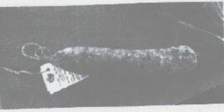 Salame stagionato richiamato per rischio microbiologico