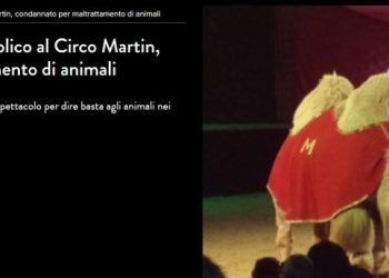 Lav: “Il circo Martin non otterrà più nessun fondo pubblico”