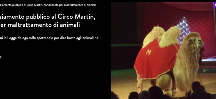 Lav: “Il circo Martin non otterrà più nessun fondo pubblico”