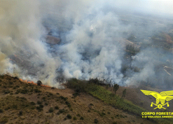 14 incendi in Sardegna nella giornata del 14 ottobre