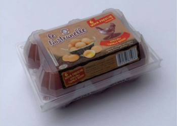 Potenziale rischio microbiologico: richiamati 30 lotti di uova