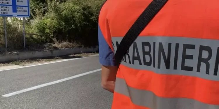 Corsa di cavalli per le vie di Orani, denunciati 8 giovani