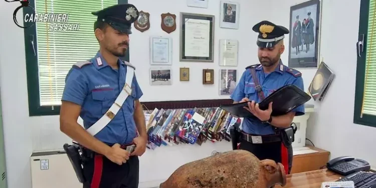 Rara anfora di epoca romana trovata da un sub a Porto S.Paolo