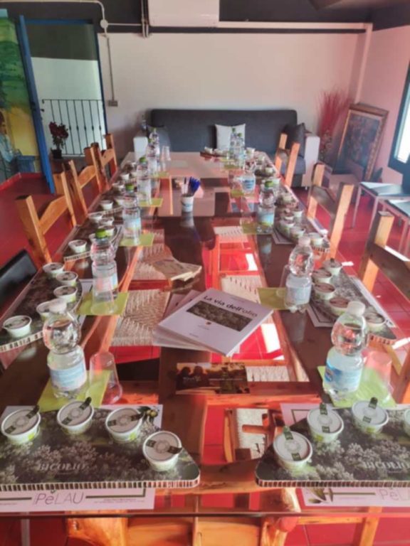 Boom di visitatori all’Oleificio Pelau