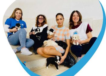 Enpa, da gennaio 3.441 procedimenti maltrattamento animali