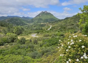 “Foreste aperte” nel Parco di Tepilora, al via da Bitti il 26