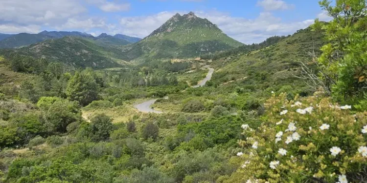 “Foreste aperte” nel Parco di Tepilora, al via da Bitti il 26