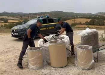 Oltre 270 kg di marijuana sequestrati a Ozieri