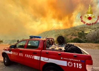 Incendi: Ispra, in Sardegna oltre 3mila ettari in fumo