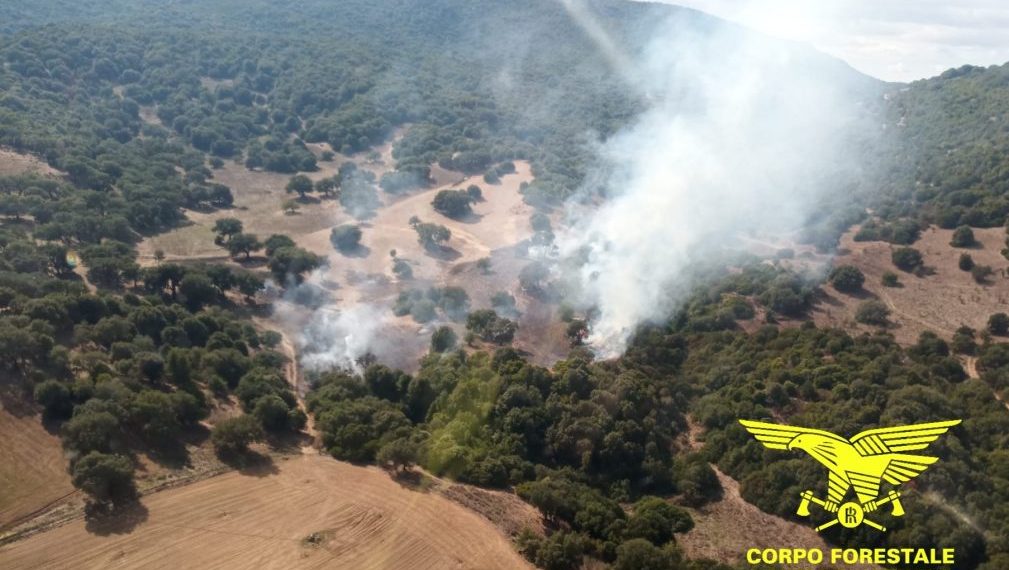 Emergenza incendi in Sardegna: 21 roghi segnalati in data odierna