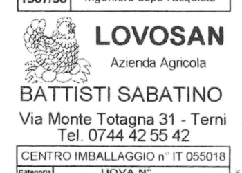 Uova richiamate dal Ministero della Salute