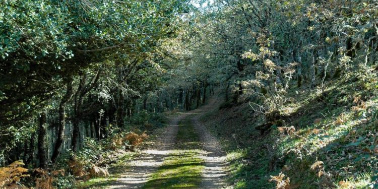 Valorizzazione ambientale: dalla Regione 600 mila euro per progetti nei parchi