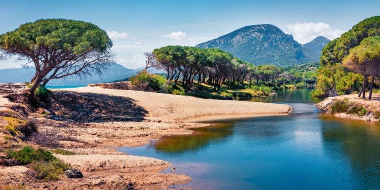 Sostenibilità ambientale e clima: via libera della Giunta a tre progetti finanziati dall’Europa e dallo Stato