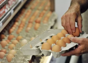 Tre casi e alcuni focolai di salmonella nel Cagliaritano