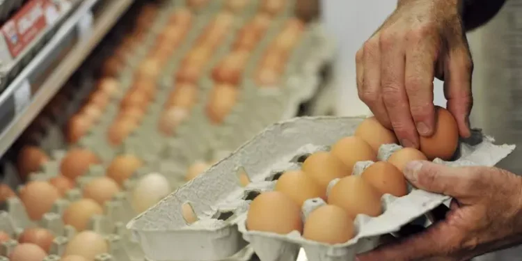 Tre casi e alcuni focolai di salmonella nel Cagliaritano