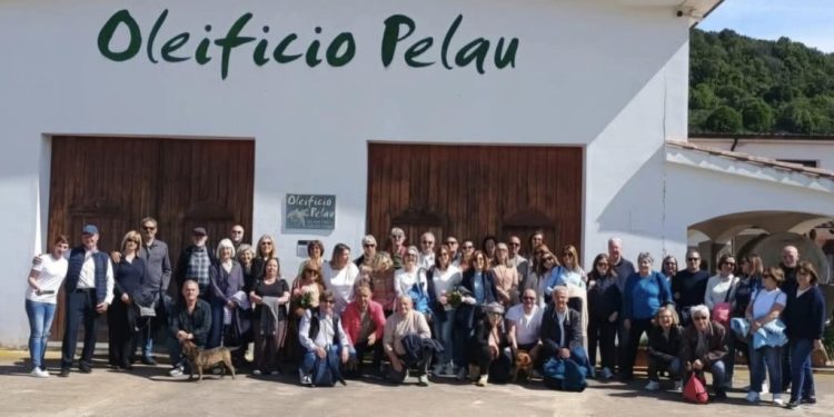 Il Turismo dell’olio a novembre all’Oleificio Pelau: è successo