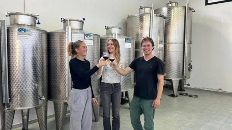 Il Turismo dell’olio a novembre all’Oleificio Pelau: è successo