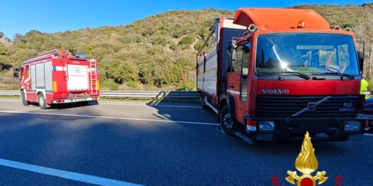 Tragedia a Pattada, autotrasportatore muore schiacciato dal carico del suo camion