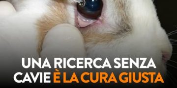 Lav scende in piazza a Cagliari per chiedere fondi per la ricerca innovativa senza l’utilizzo di animali
