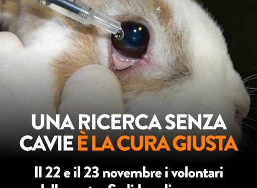 Lav scende in piazza a Cagliari per chiedere fondi per la ricerca innovativa senza l’utilizzo di animali